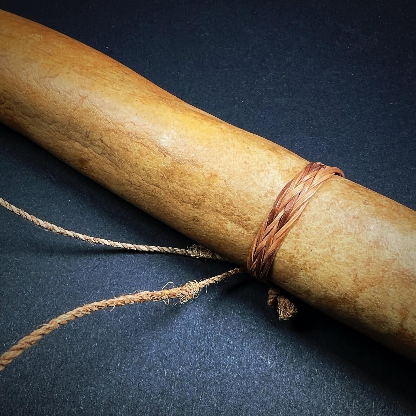 Dani Penis Gourd Sheath Koteka