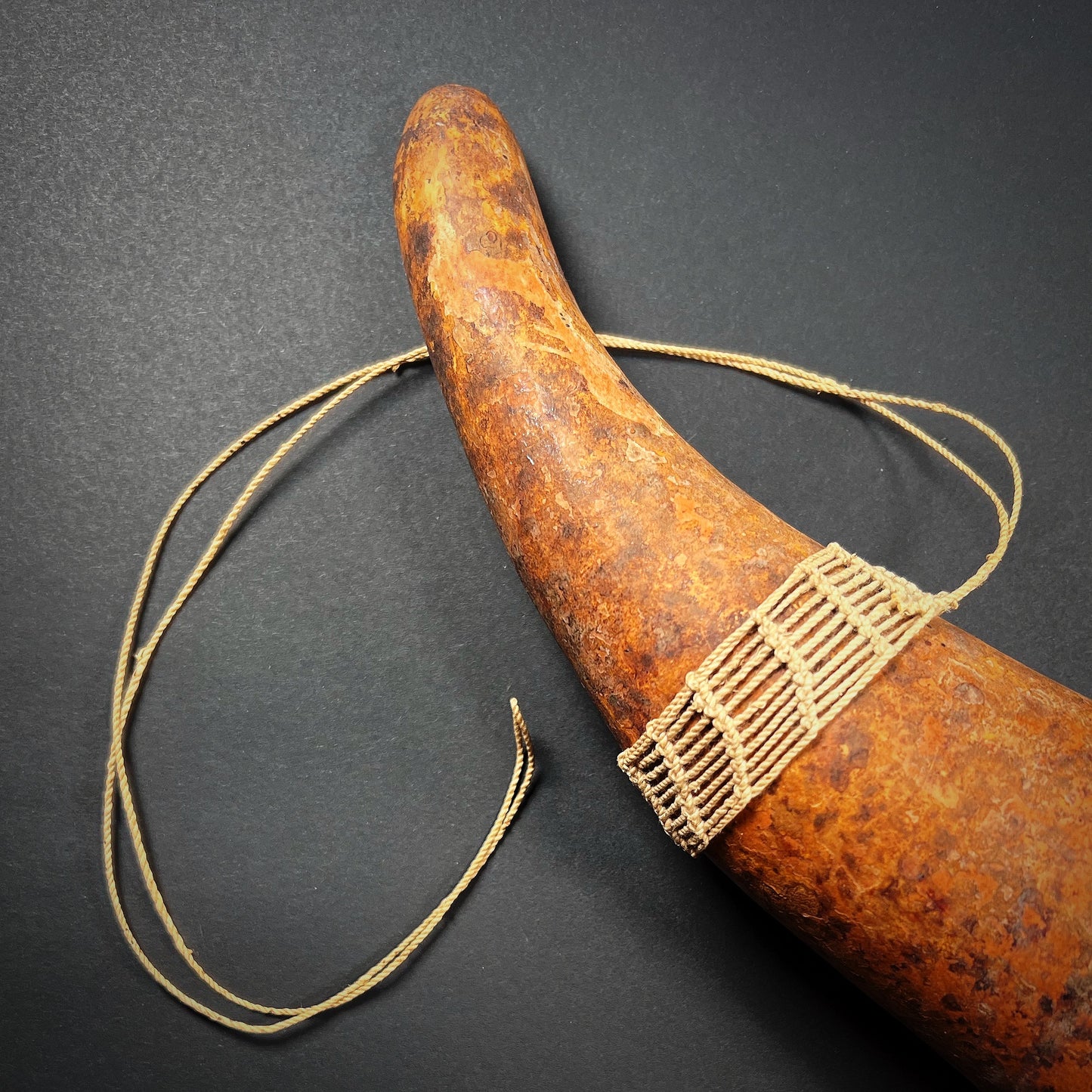 Dani Penis Gourd Sheath Koteka