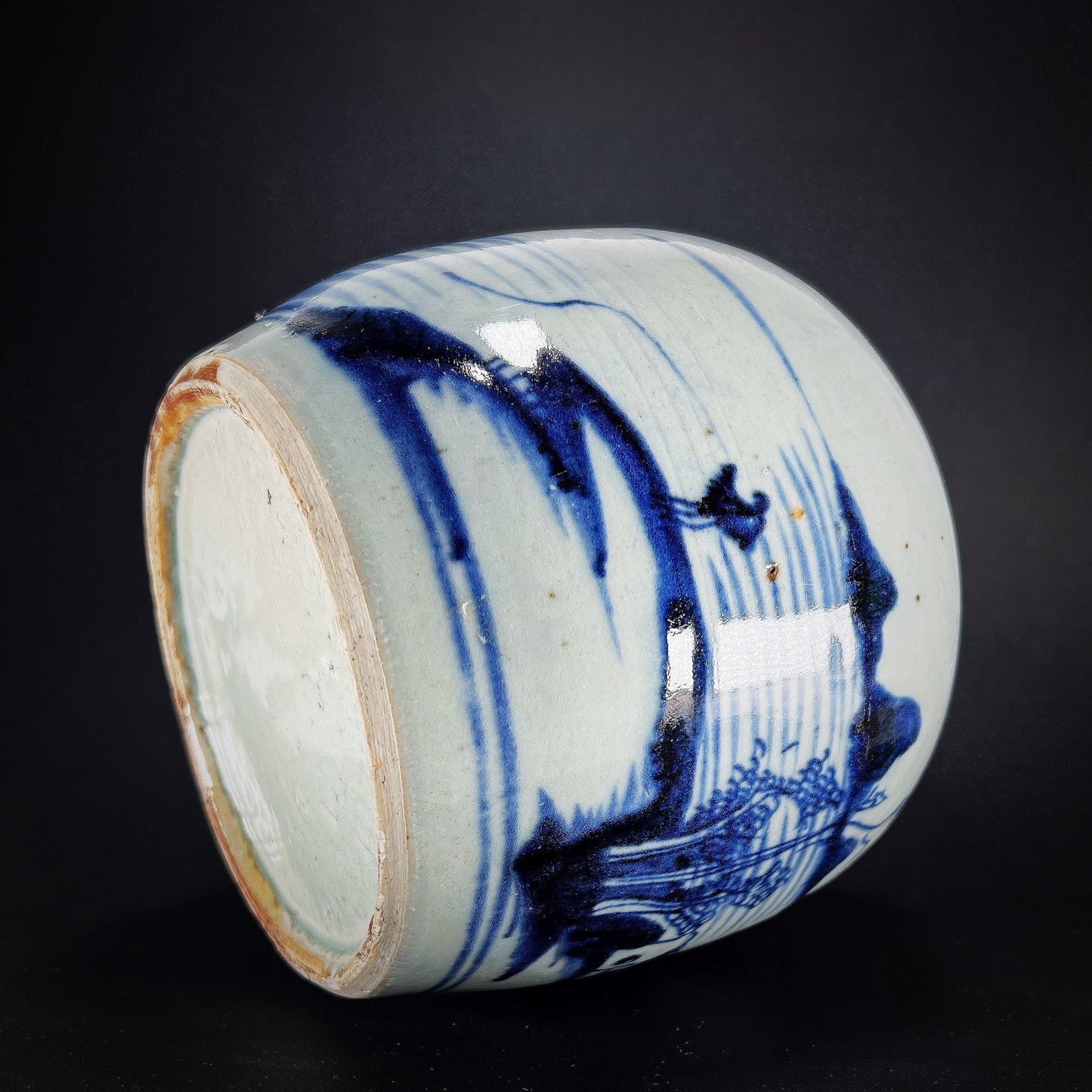 Qing Dynasty Daoguang Blue White Porcelain Ginger Jar