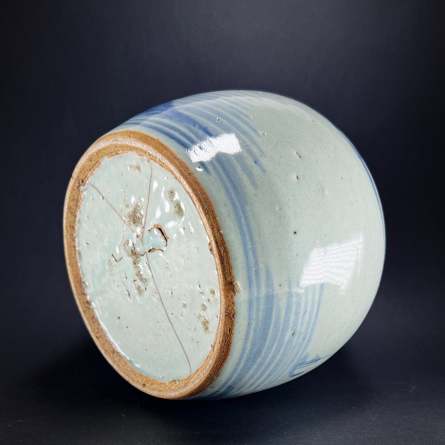 Qing Dynasty Daoguang Blue White Porcelain Ginger Jar