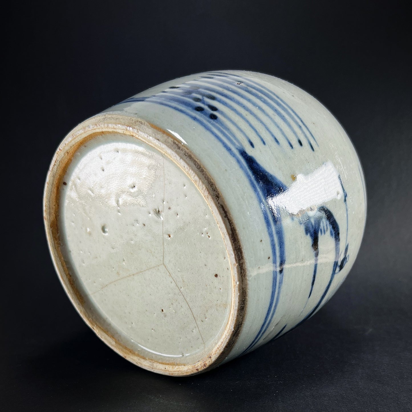 Qing Dynasty Daoguang Blue White Porcelain Ginger Jar