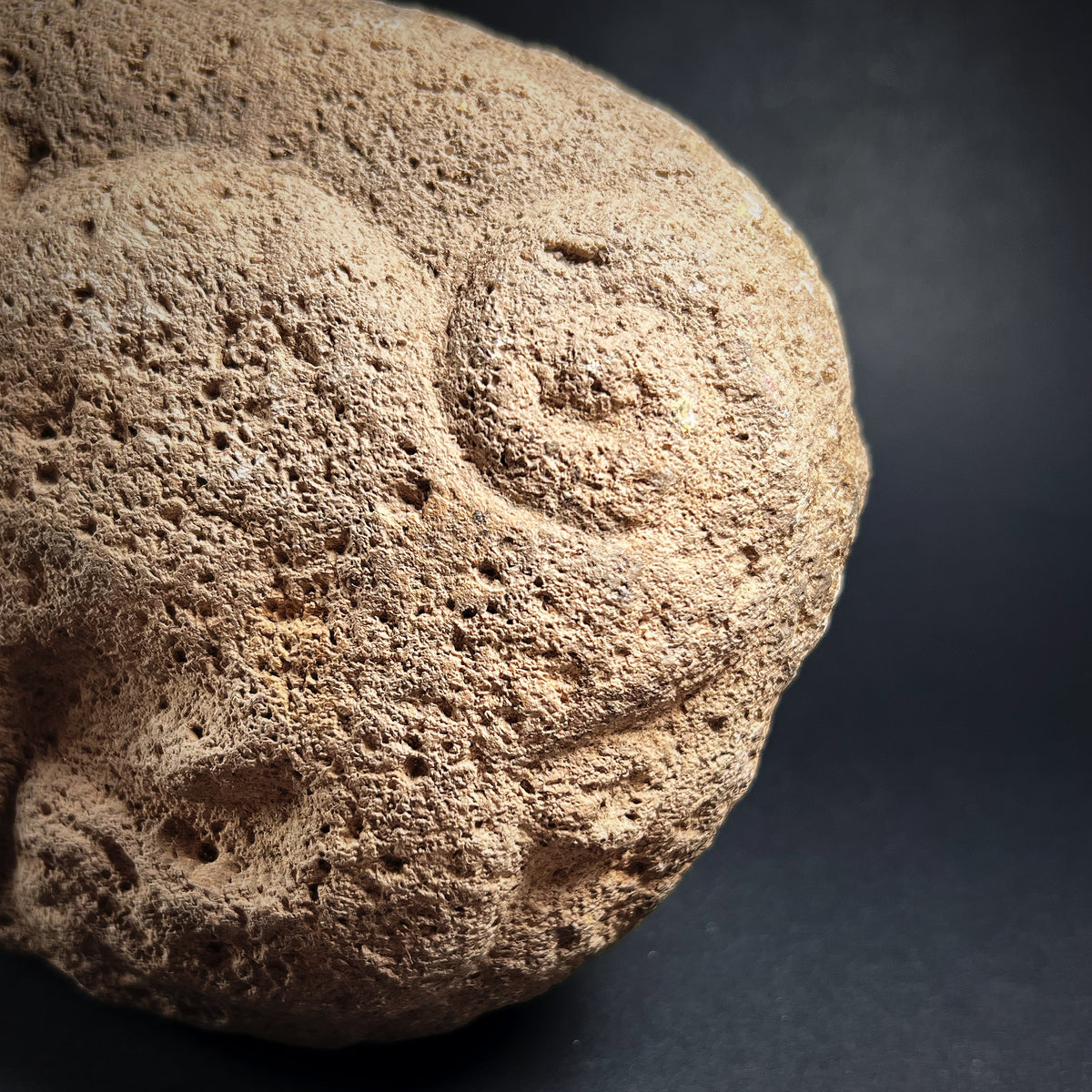 Pre-Columbian Chavín Jaguar Stone Sculpture