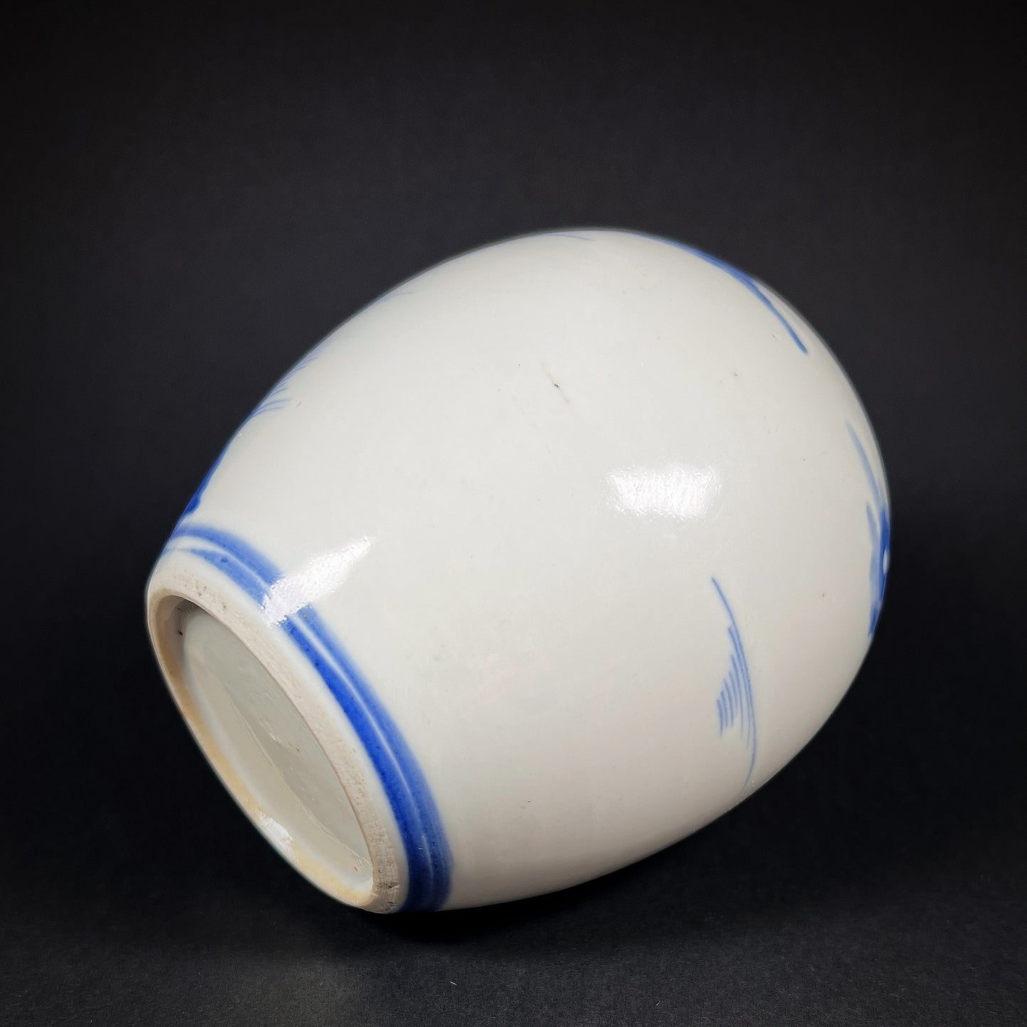 Qing Dynasty Daoguang Blue White Porcelain Ginger Jar