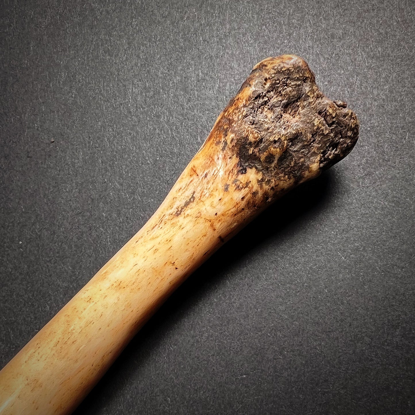 Asmat Cassowary Bone Dagger Pi Pisuwe