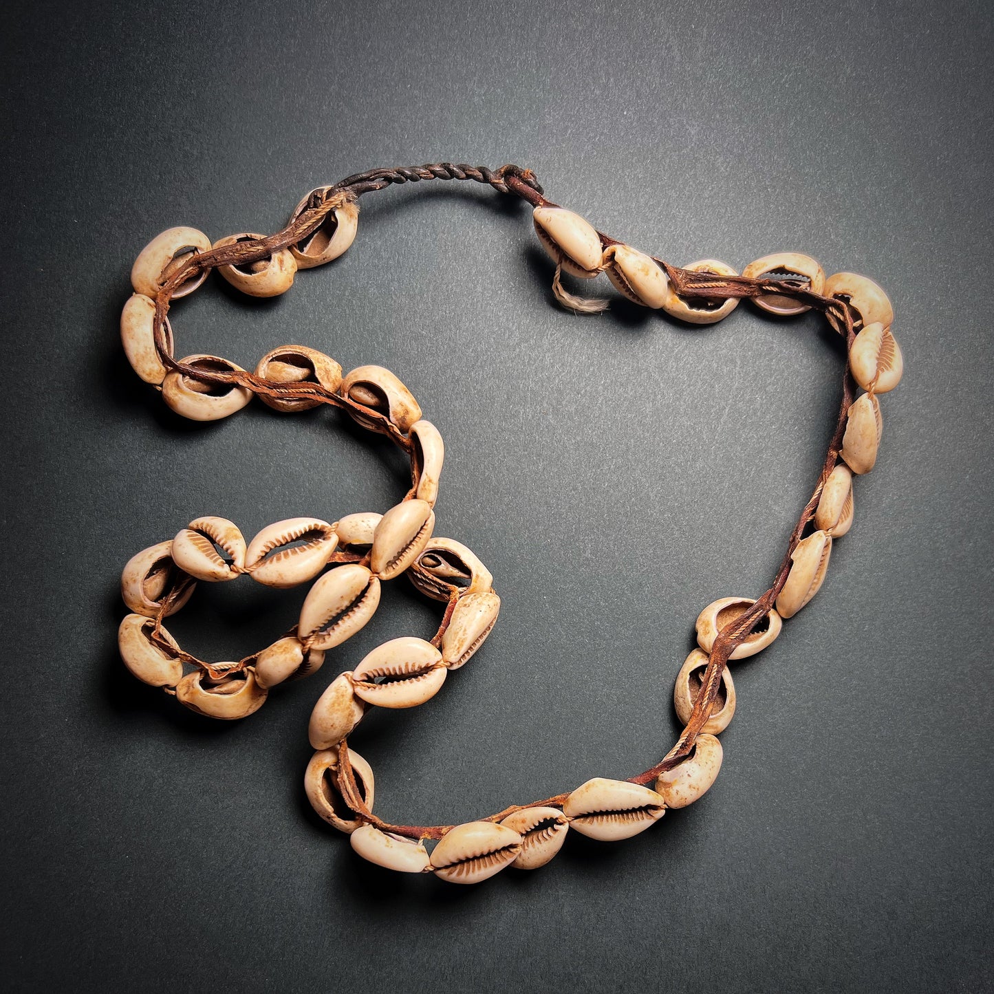Toussian Cowrie Shell Currency Necklace