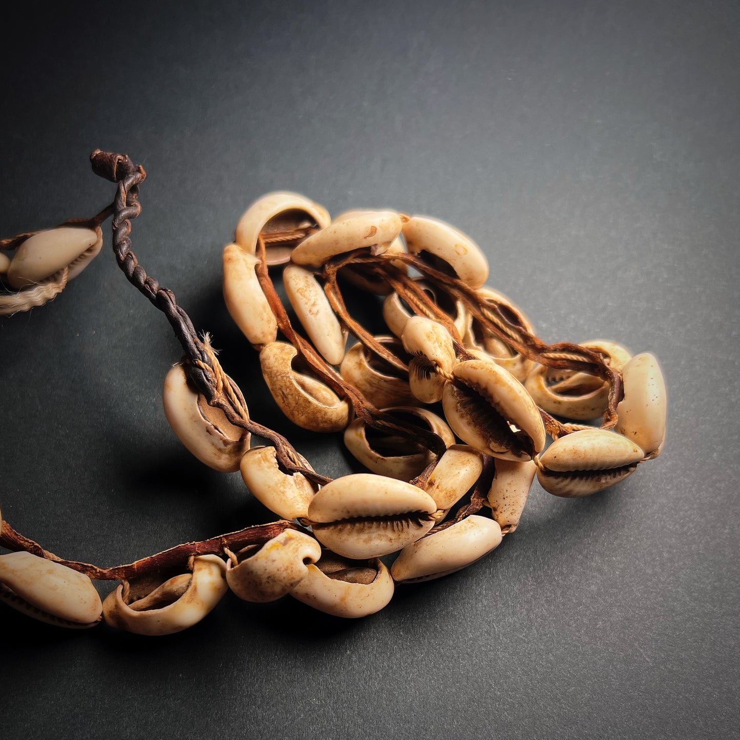 Toussian Cowrie Shell Currency Necklace