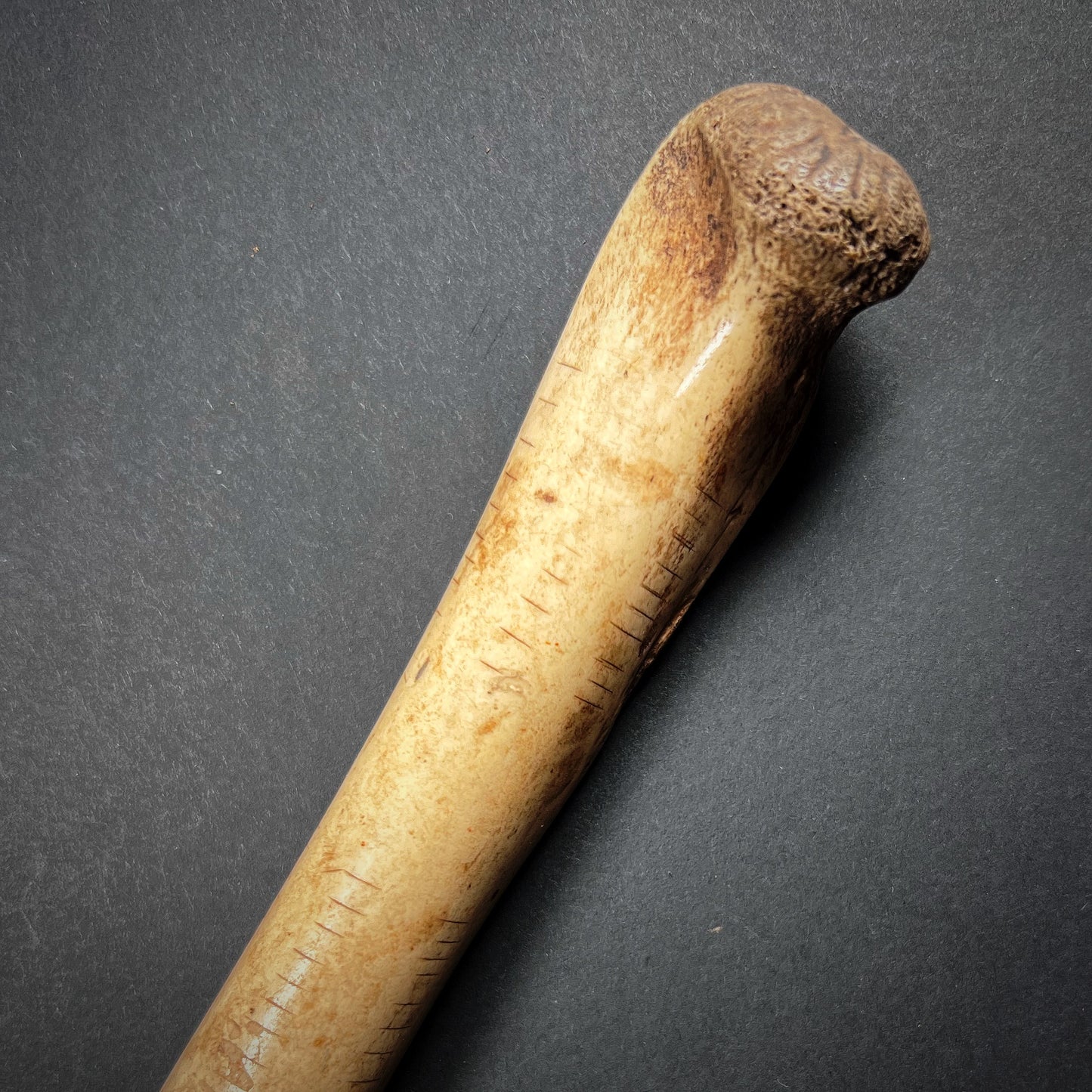Asmat Cassowary Bone Dagger Pi Pisuwe