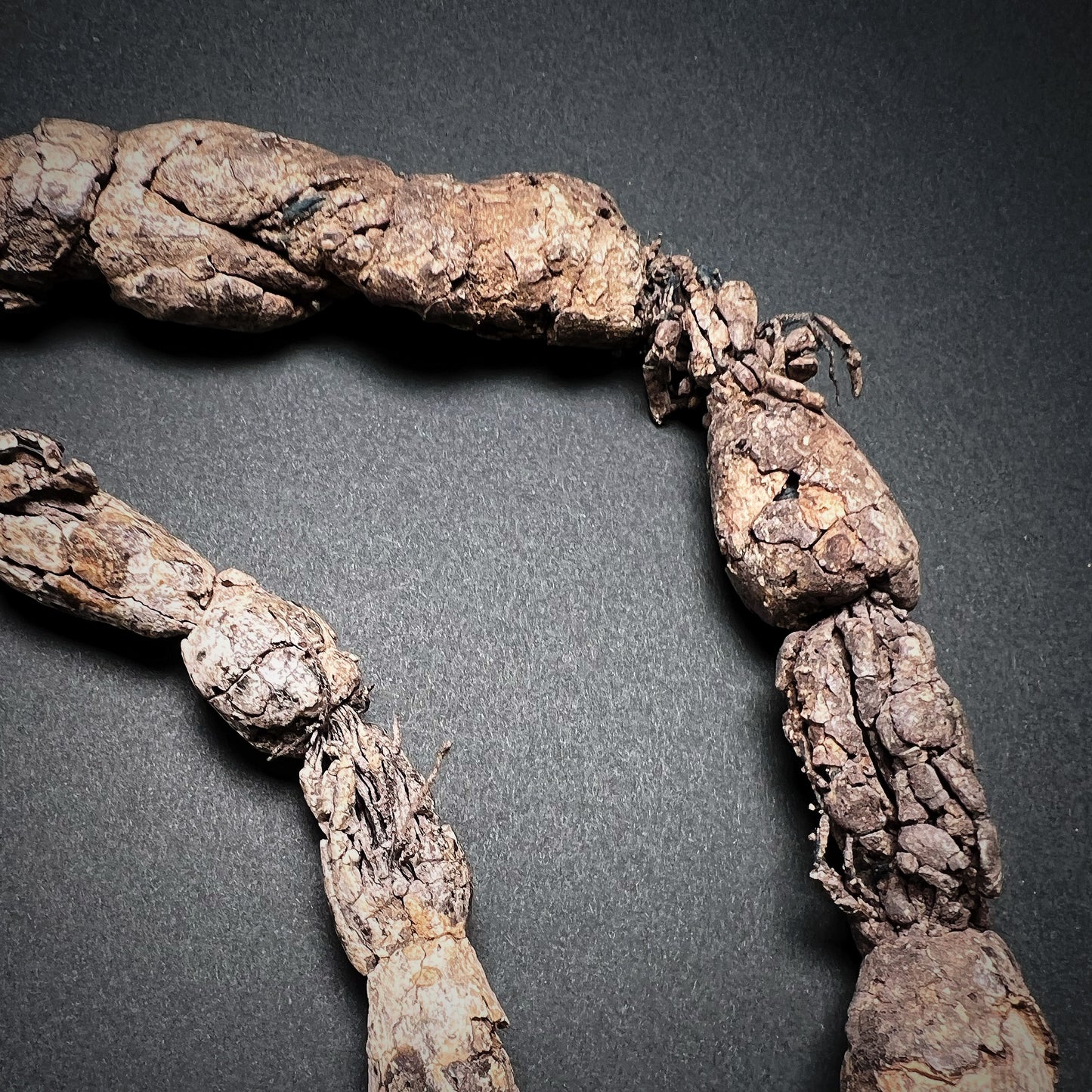 Ewe or Fon Vodun Fetish Pectoral