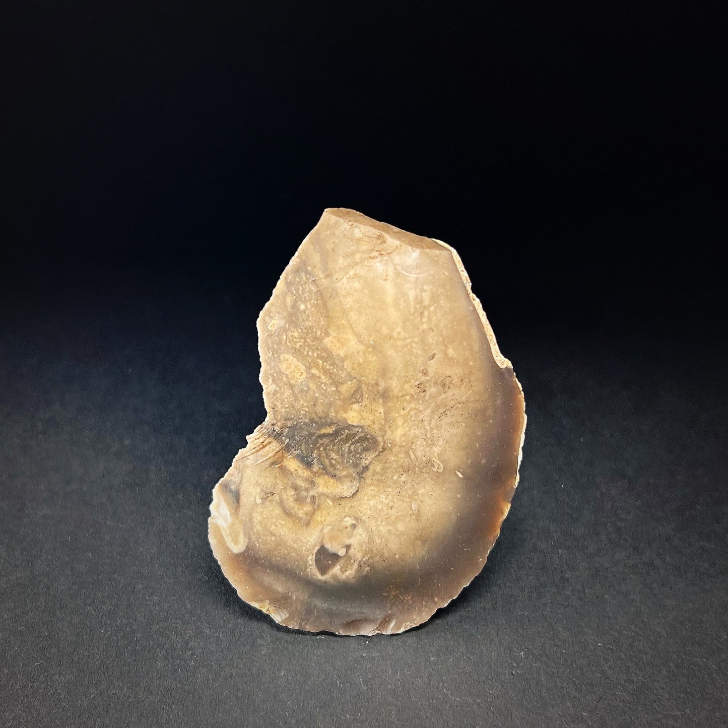 Danish Mesolithic Period Flint Scraper
