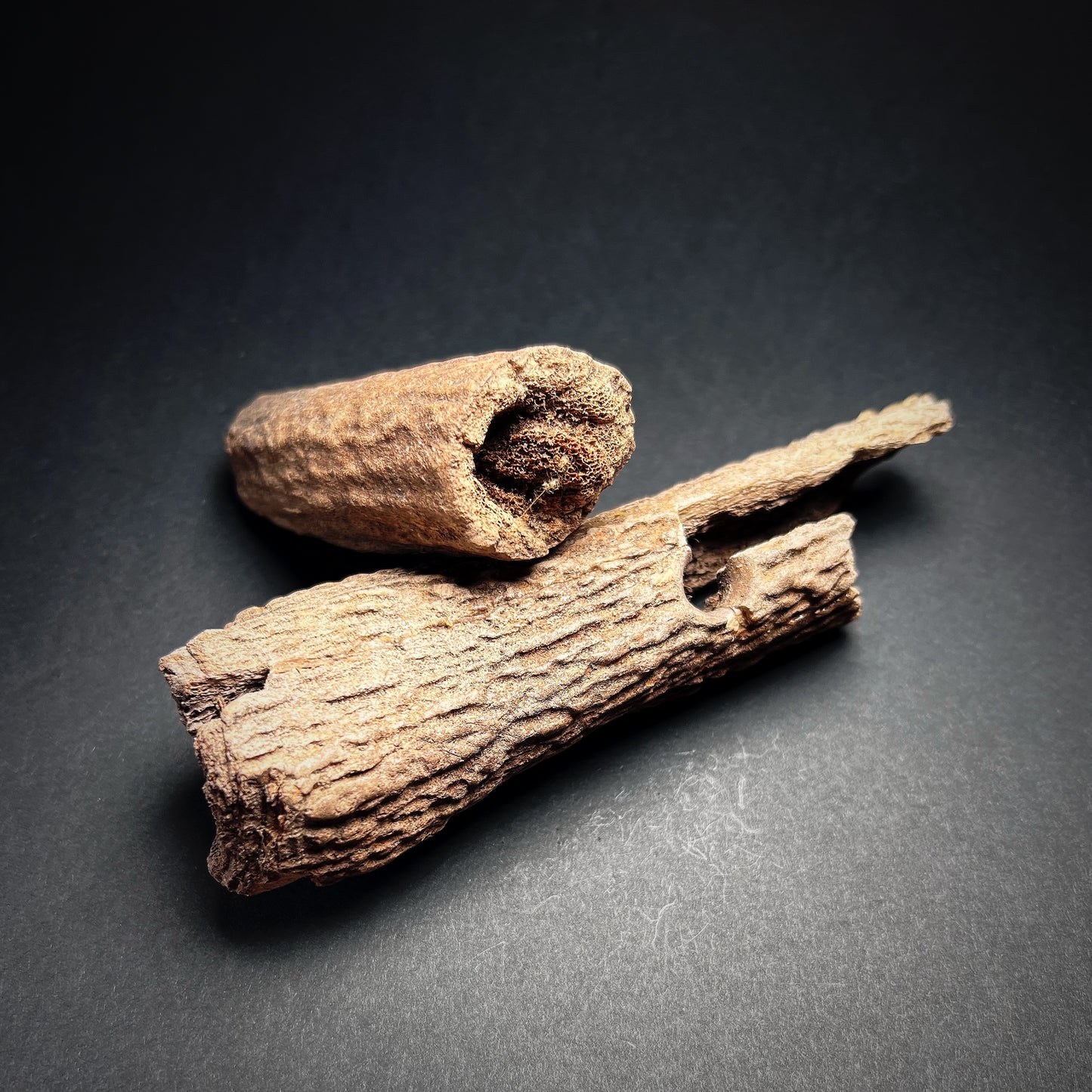 Danish Mesolithic Period Antler Axe