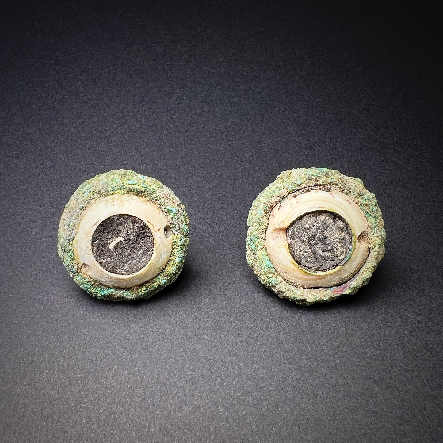 Egyptian Bronze and Stone Animal Eyes