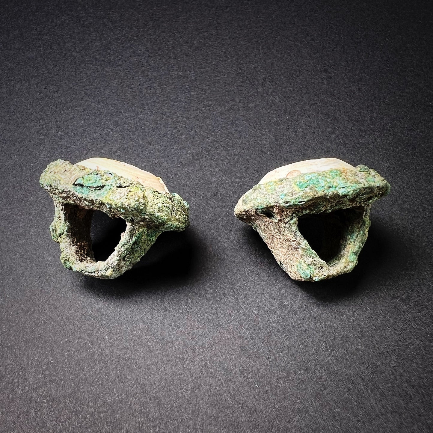 Egyptian Bronze and Stone Animal Eyes