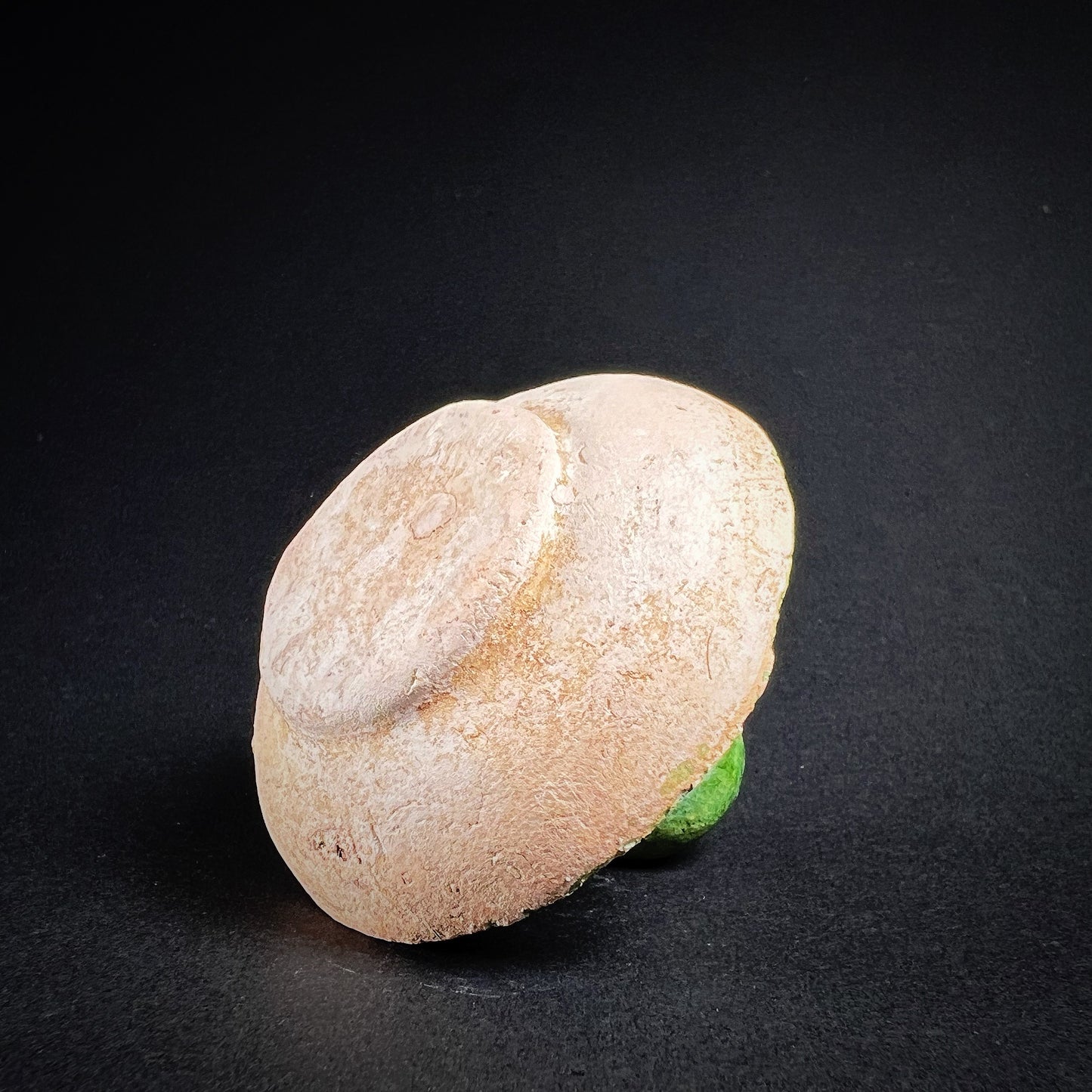 Ming Dynasty Pottery Miniature Food Offering Plate