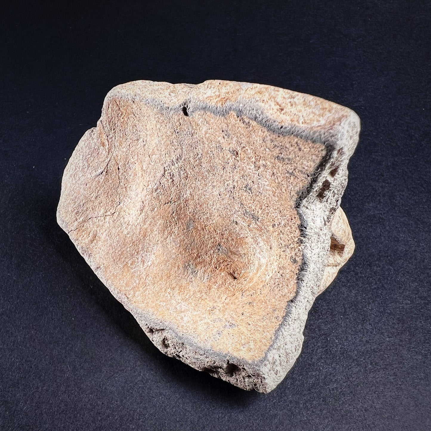 Mayan or Aztec Terracotta Jaguar Warrior Figure Fragment