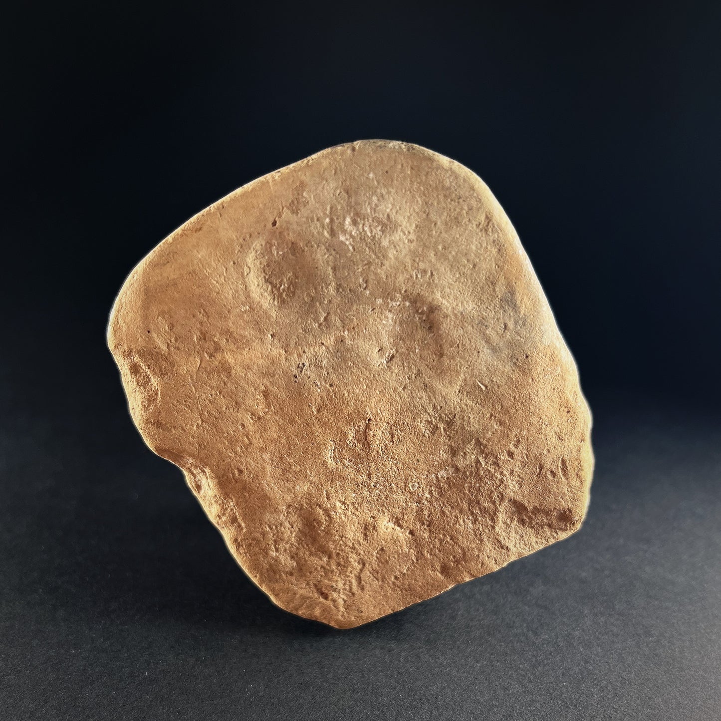 La Tolita-Tumaco Terracotta Head Fragment