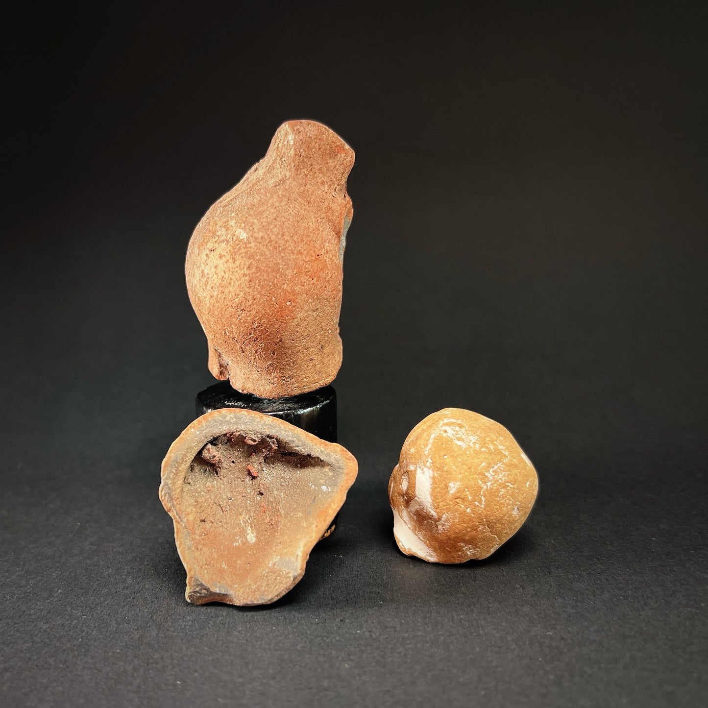Collection of Romano-Egyptian Terracotta Heads of Harpocrates