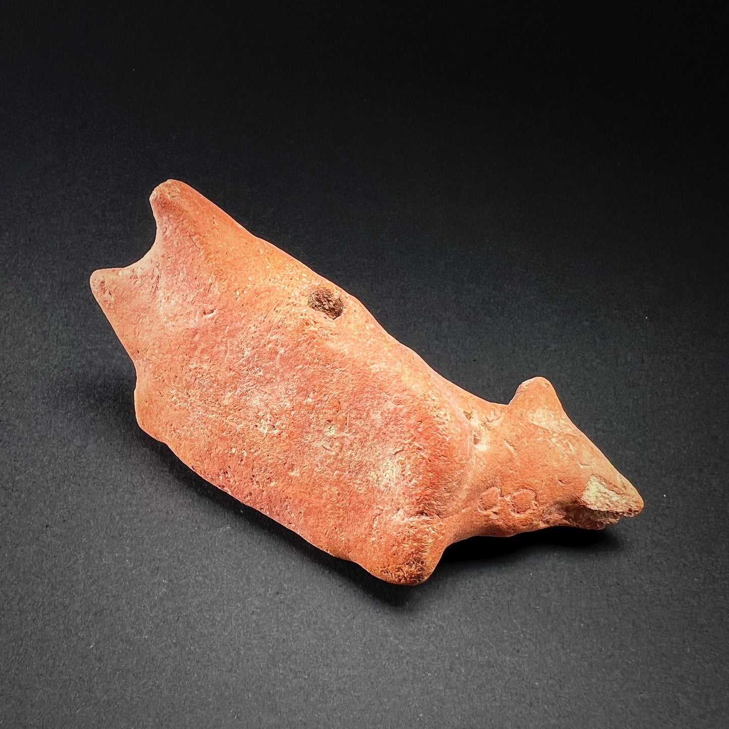 Early Harappan Terracotta Quadruped Figurine