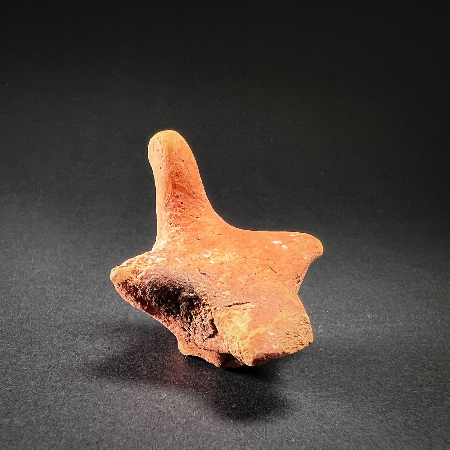 Early Harappan Terracotta Dove Figurine