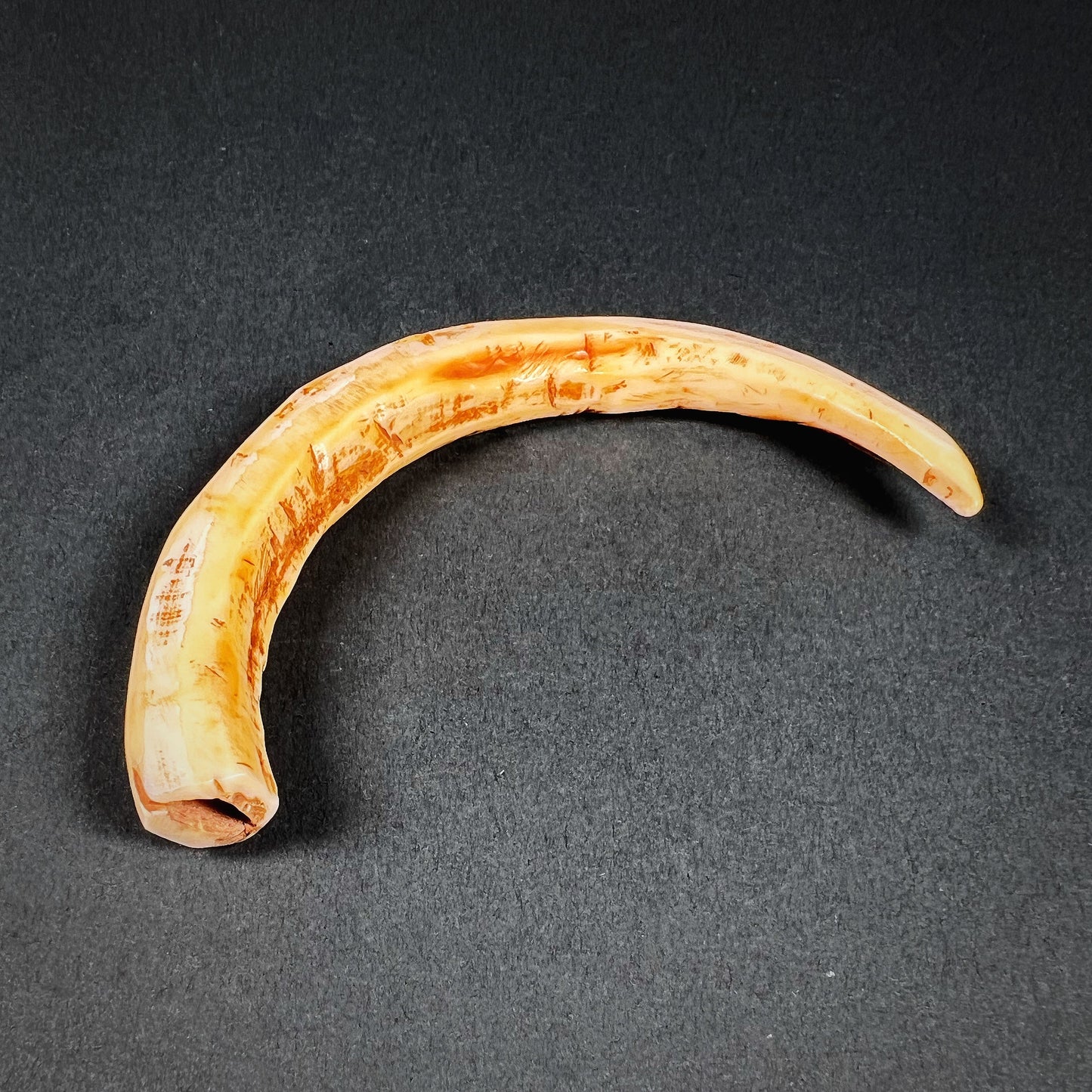 Dani Boar Tusk Nose Ornament