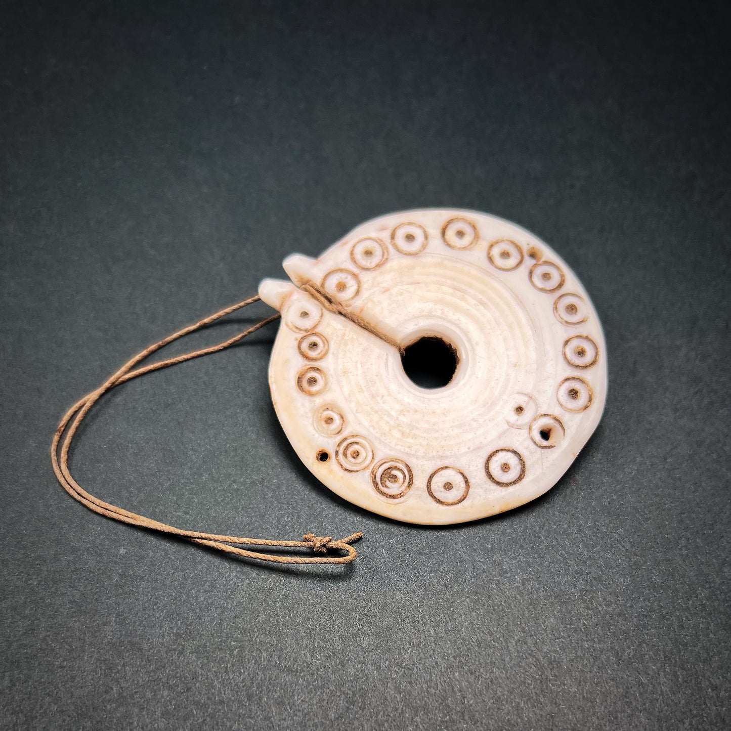 Arfak Conus Shell Disc Currency Toae
