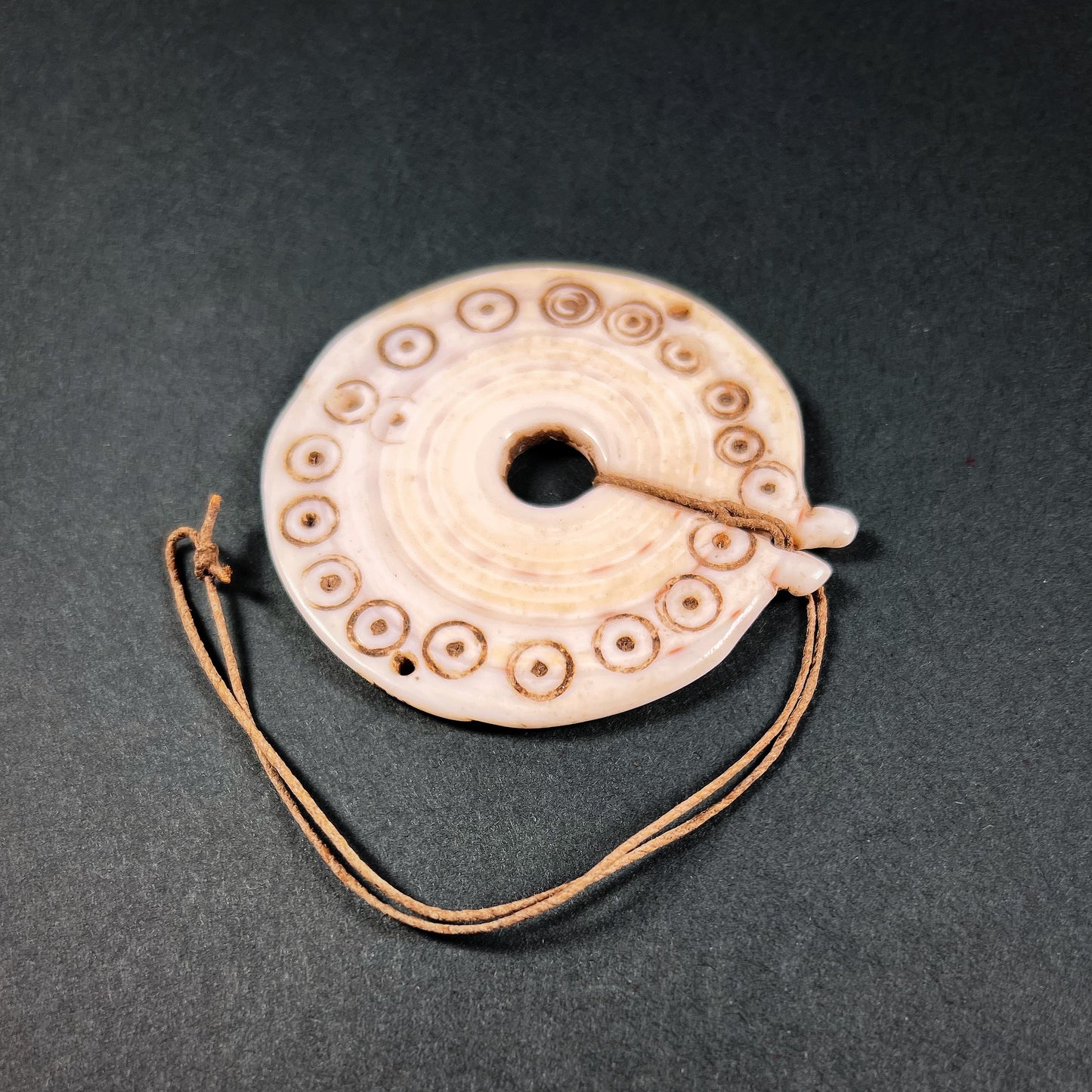 Arfak Conus Shell Disc Currency Toae