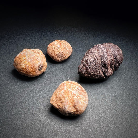 Neolithic Tenerian Culture Stone Grave Goods or Amulets