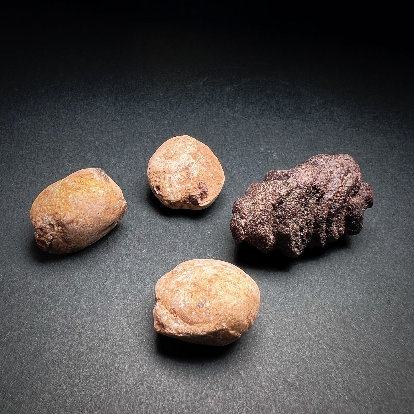 Neolithic Tenerian Culture Stone Grave Goods or Amulets