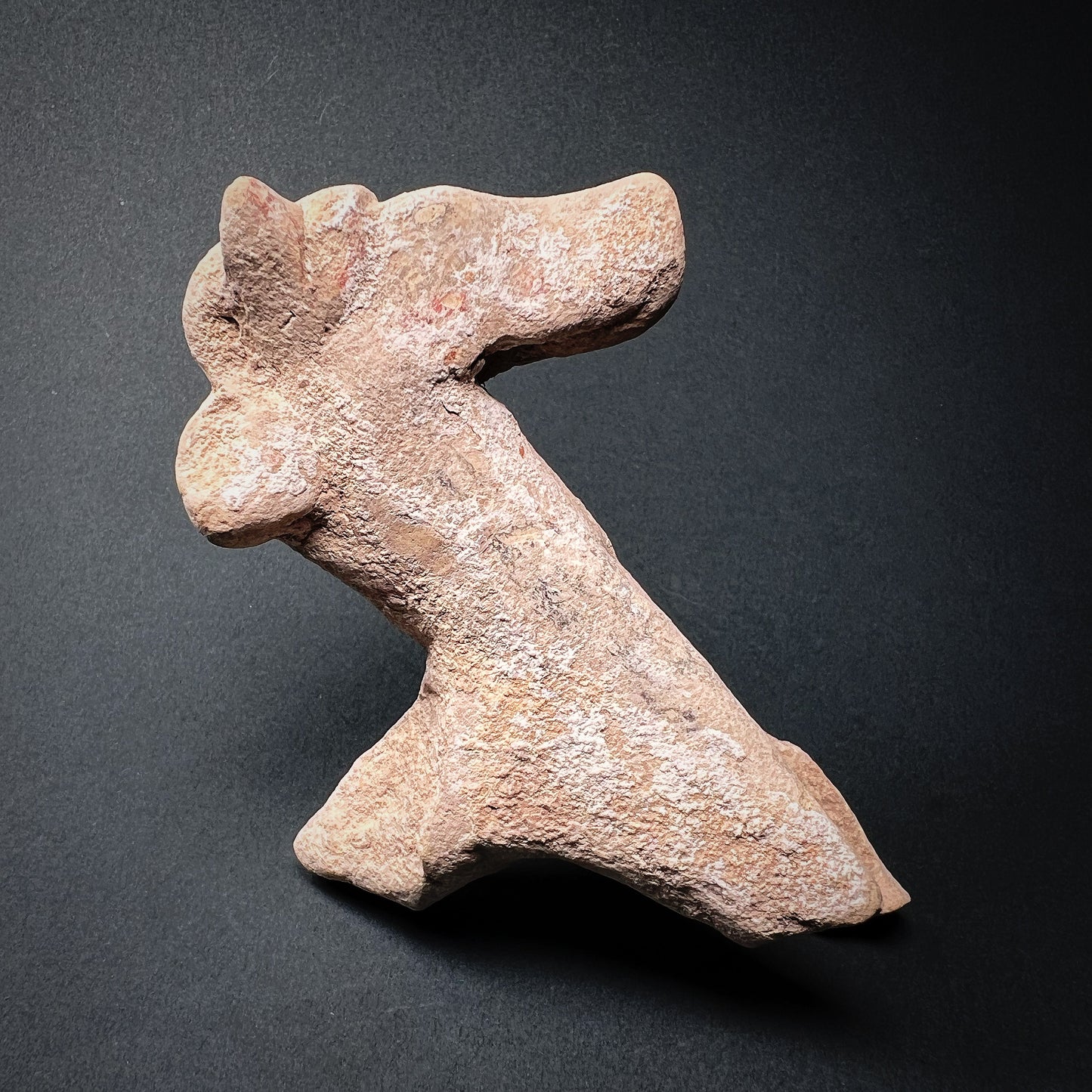 Cypro-Archaic Terracotta Horse Figurine Fragment