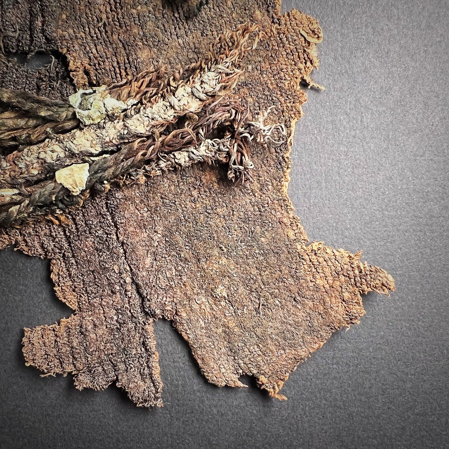 Viking Age Cloth Fragments with Bronze Ring Adornments