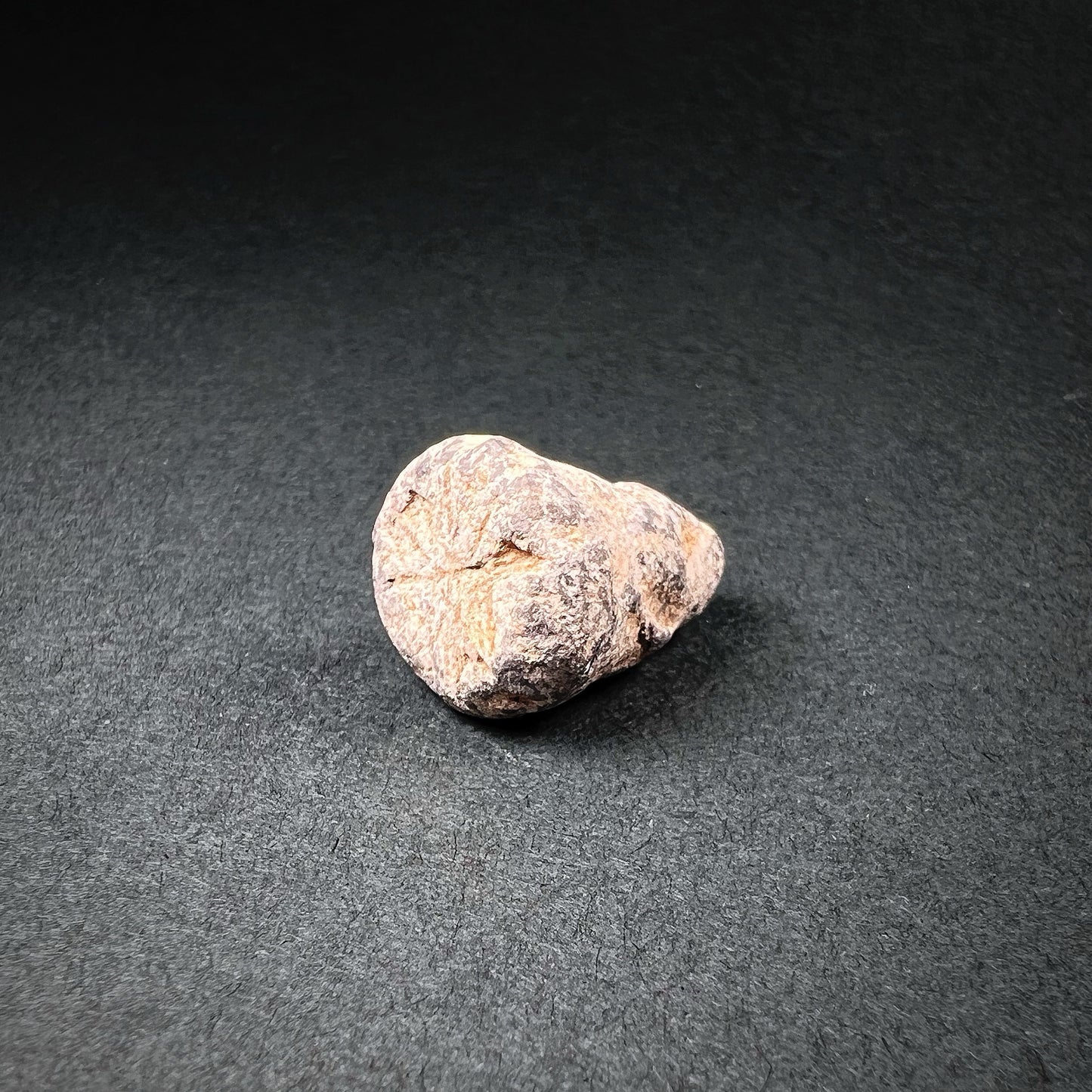Romano-British or Early Anglo-Saxon Steelyard Lead Weight