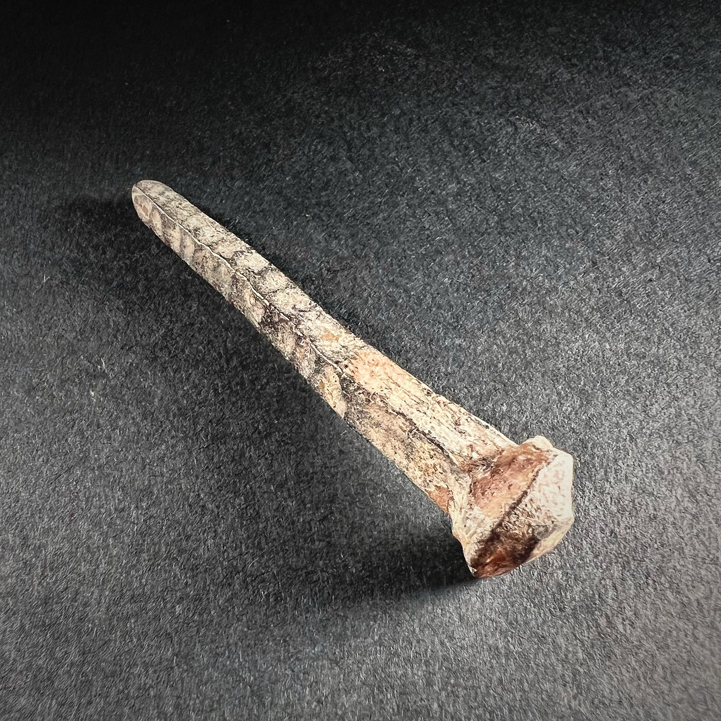 Roman Bronze Nail