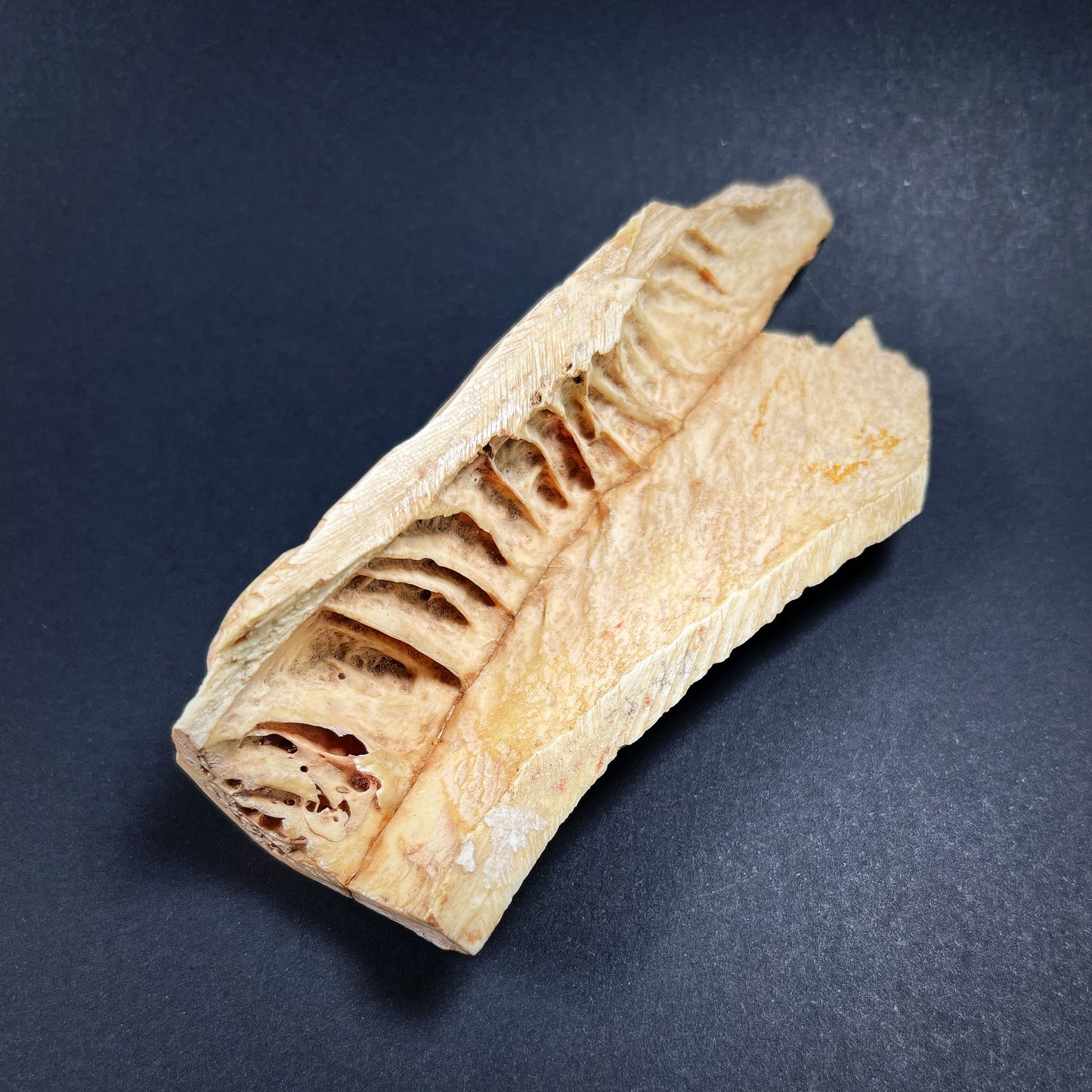 Roman Bone Plaque with Nude Venus