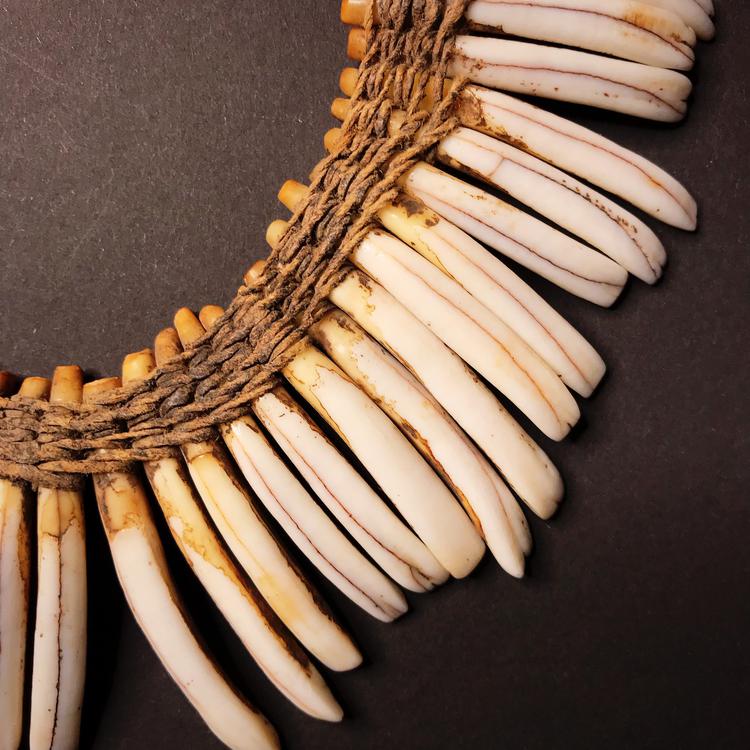 Asmat Boar Teeth Necklace