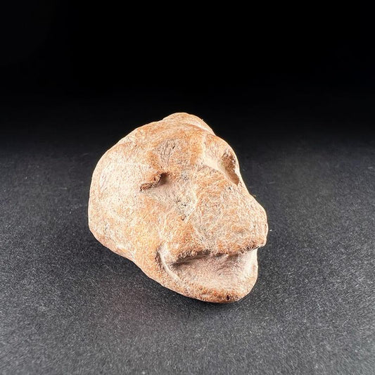 Mayan Jaguar Figure Terracotta Fragment