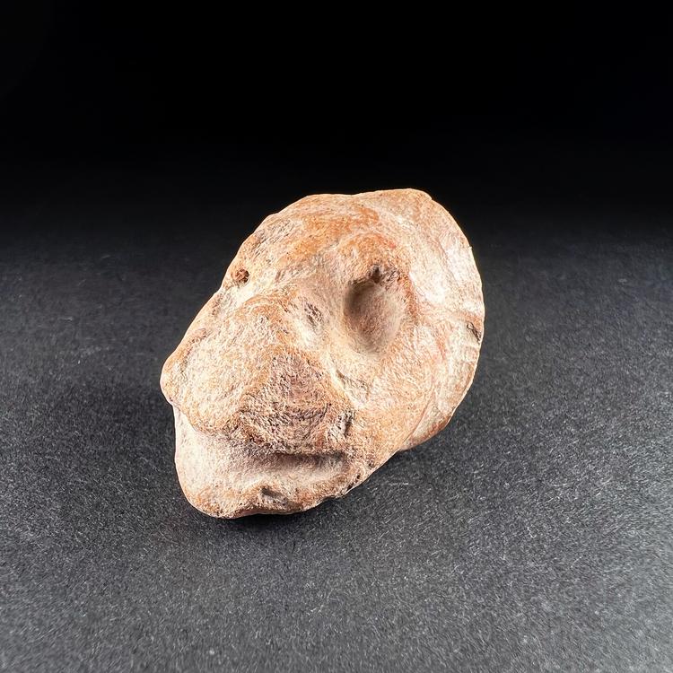 Mayan Jaguar Figure Terracotta Fragment