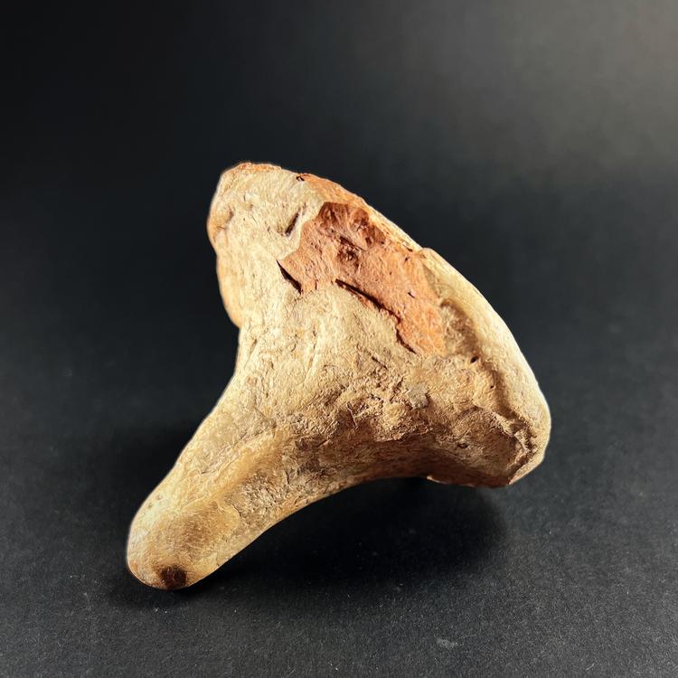 Early Harappan Terracotta Stamp Seal