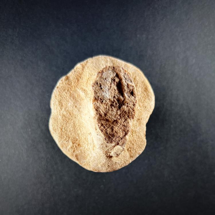 Cypro-Archaic Terracotta Chariot Wheel Fragment