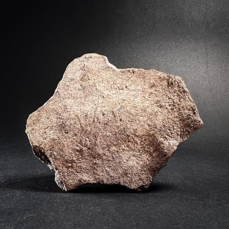 Mayan Terracotta Deity or Warrior Figurine Fragment