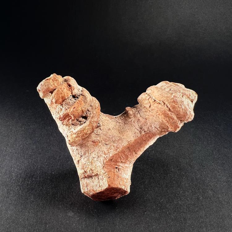 Early Harappan Terracotta Figure Fragment