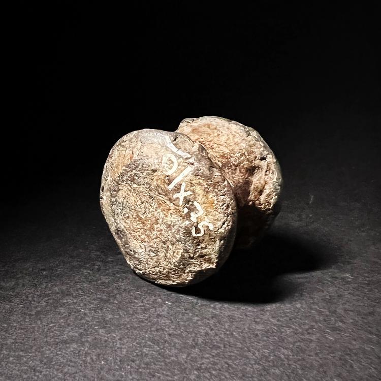 Roman Casting Net Lead Weight