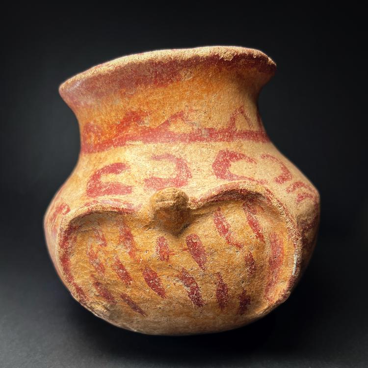 Mayan Globular Terracotta Olla with Turtle Depiction