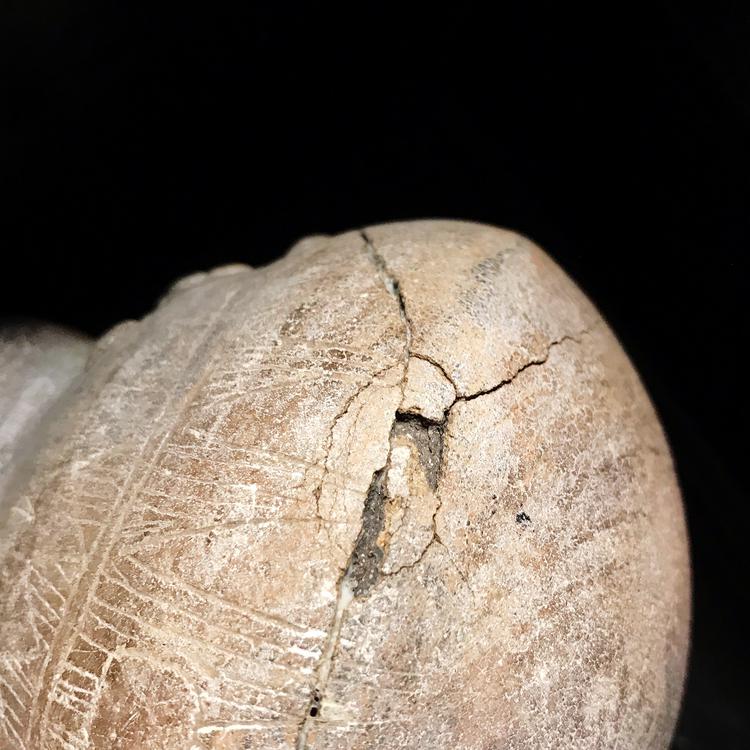 Quimbaya Figural Pottery Vessel