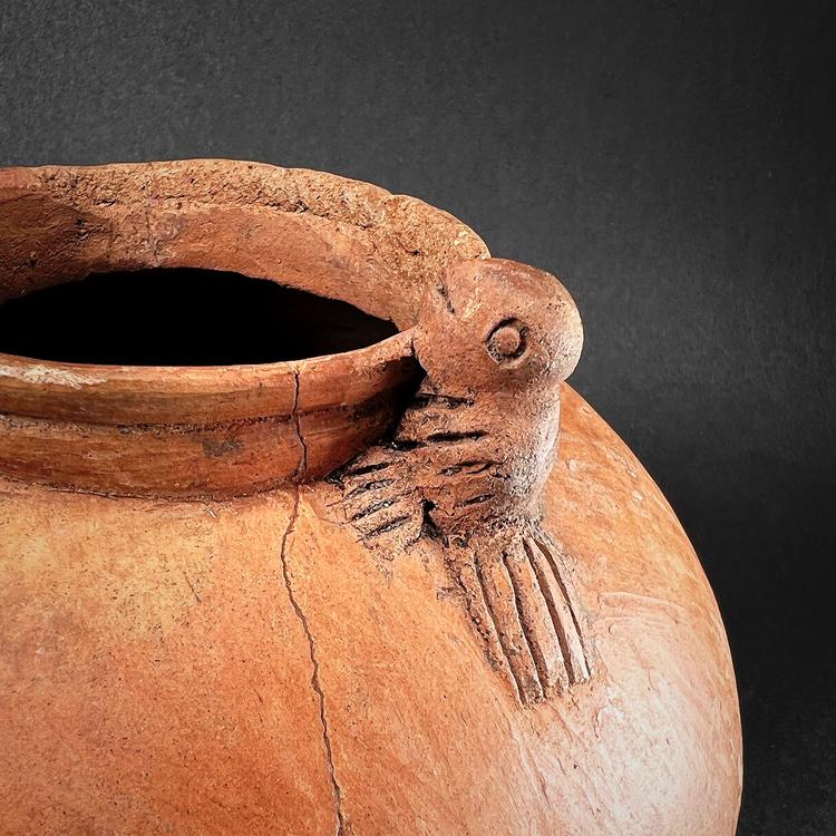 Colima Pottery Olla