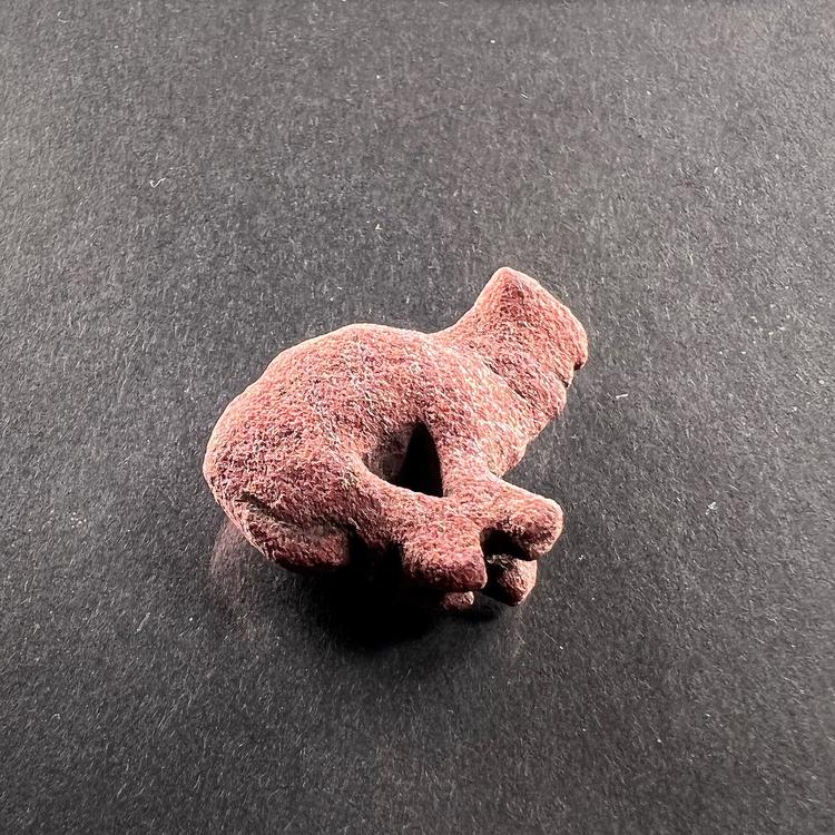 Egyptian Trussed Ox Jasper Amulet