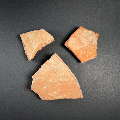 Amarna Period Painted Pottery Fragments