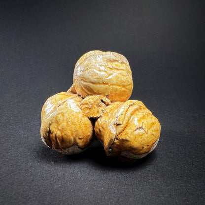 Ming Dynasty Pottery Miniature Food Offering
