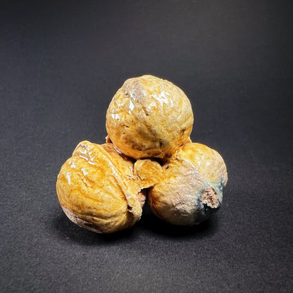 Ming Dynasty Pottery Miniature Food Offering