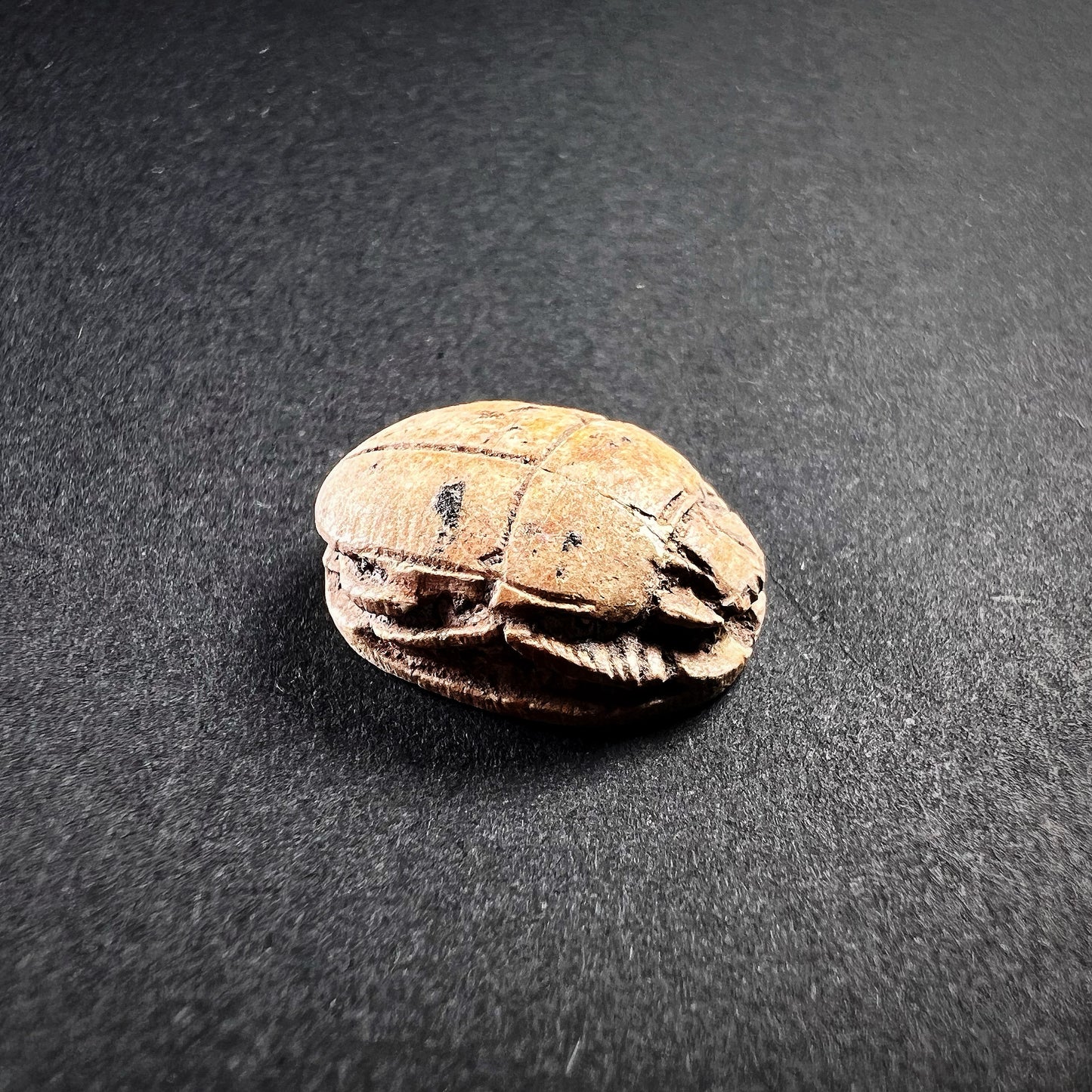 Egyptian Steatite Scarab