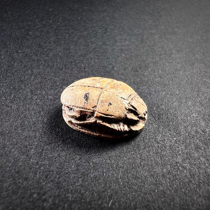 Egyptian Steatite Scarab