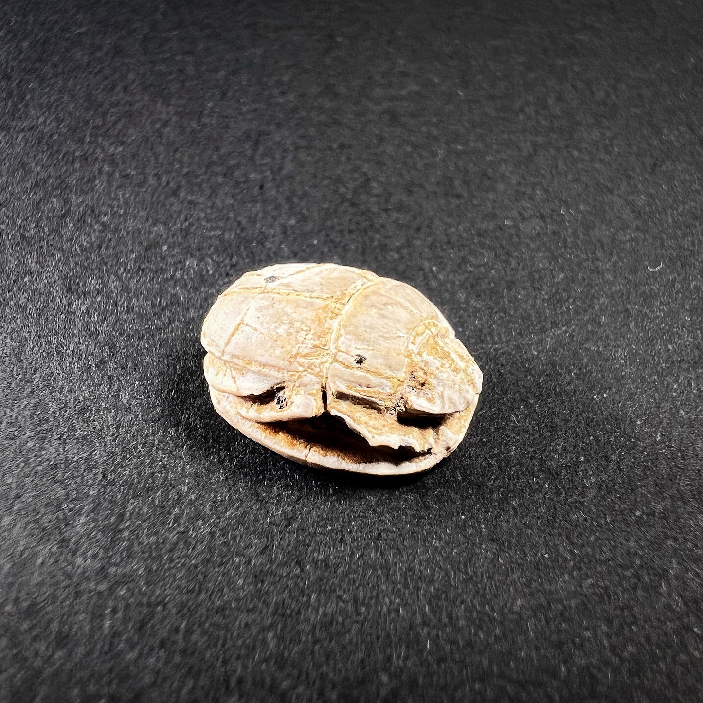 Egyptian Steatite Scarab